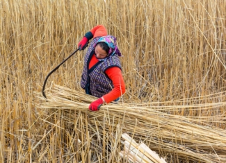 Fotografía desoladora de la violencia de género en el mundo rural