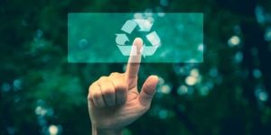 ACEMA, IPDGrupo.com