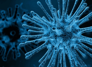 «Así predice mi novela la llegada del virus letal»