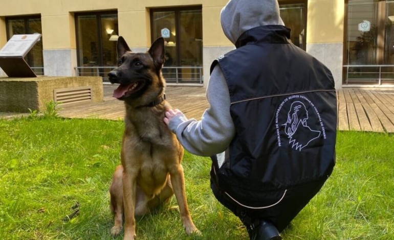 perros-que-salvan-la-vida-a-mujeres-maltratadas