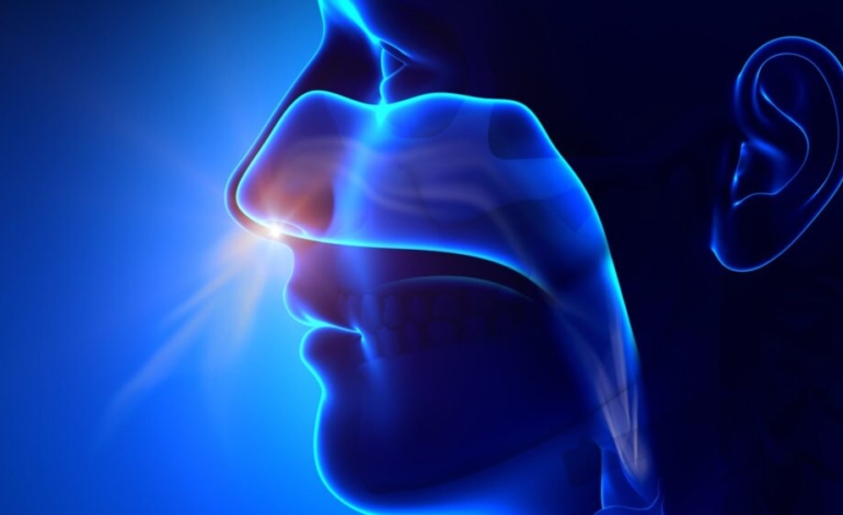 ¿la-rinoplastia-funcional-me-ayuda-a-respirar-mejor-por-la-nariz?