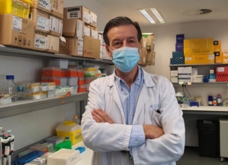 Diseñan un anticuerpo antitumoral más eficaz y menos tóxico