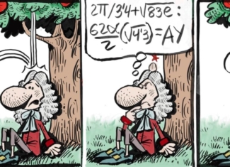 Newton y el chichón más inteligente