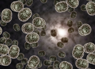 Estrategia mundial para derrotar la meningitis