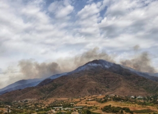 ¡Cuidado con la contaminación por incendios forestales!