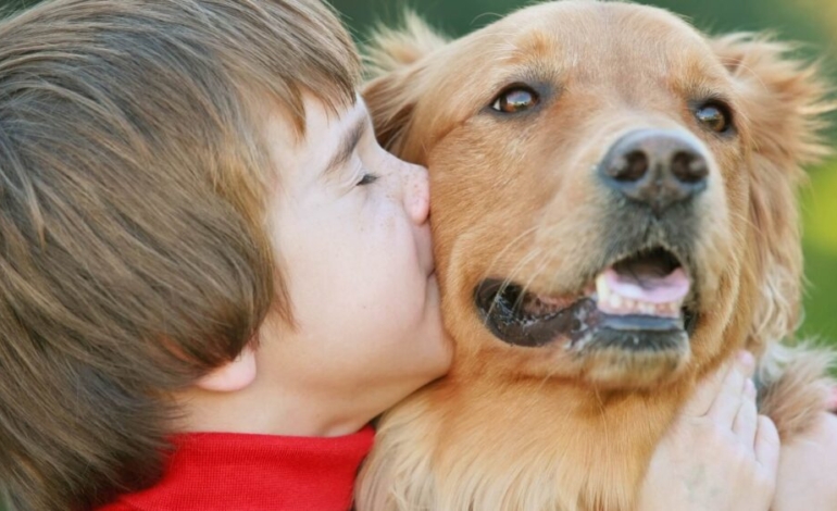 ¿que-debo-saber-sobre-la-alergia-a-las-mascotas?