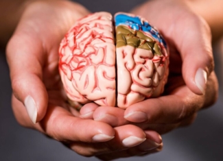 ¿Cómo podemos cuidar nuestro cerebro?