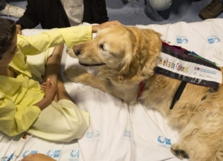 Terapia asistida con perros en niños ingresados en cuidados intensivos y reanimación