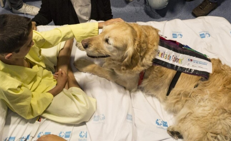 terapia-asistida-con-perros-en-ninos-ingresados-en-cuidados-intensivos-y-reanimacion