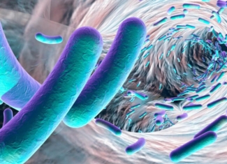 Las bacterias ganan la batalla frente a los antibióticos