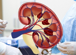 Reconocimiento en el ámbito del trasplante renal