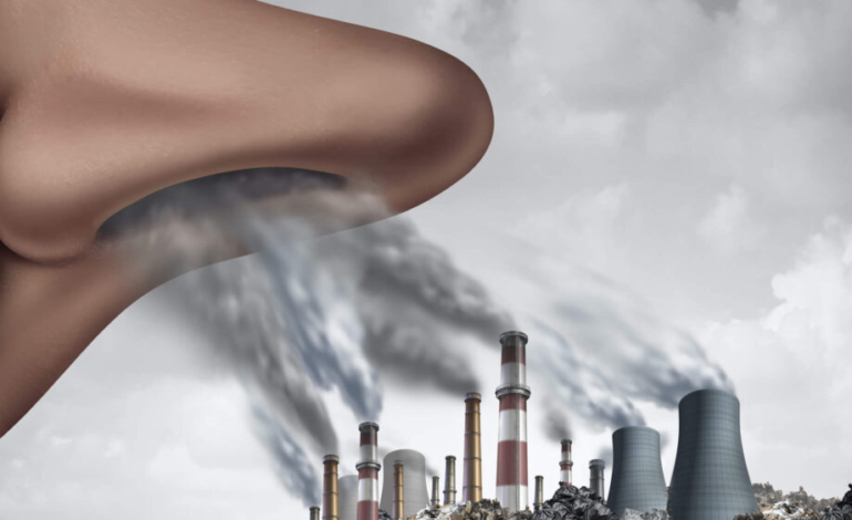 ¡la-contaminacion-del-aire-perjudica-gravemente-nuestra-salud!