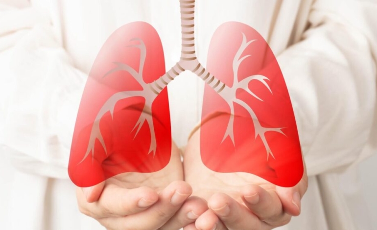 aumentan-las-donaciones-de-organos-con-records-de-trasplante-pulmonar-y-renal
