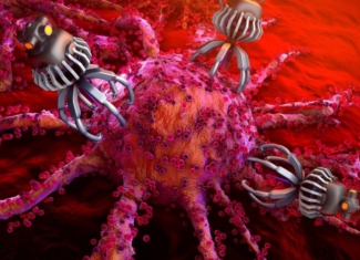 ¡Nanorrobots que atacan el cáncer de vejiga de forma fulminante!