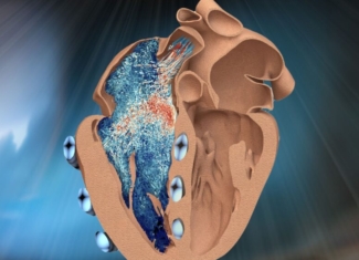 Así es la réplica robótica del ventrículo derecho del corazón