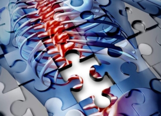 A la búsqueda de nuevas terapias para curar lesiones de médula espinal