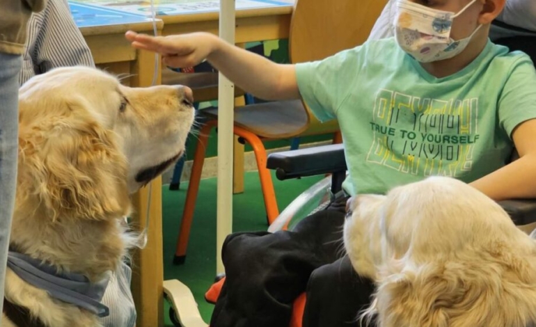 asi-es-la-terapia-con-perros-en-pacientes-pediatricos-oncologicos