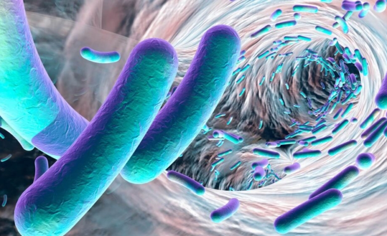 estas-son-las-bacterias-resistentes-mas-peligrosas-para-la-salud-humana