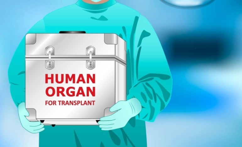 ¿ficcion-o-realidad-de-la-trata-de-personas-para-trasplante-de-organos?