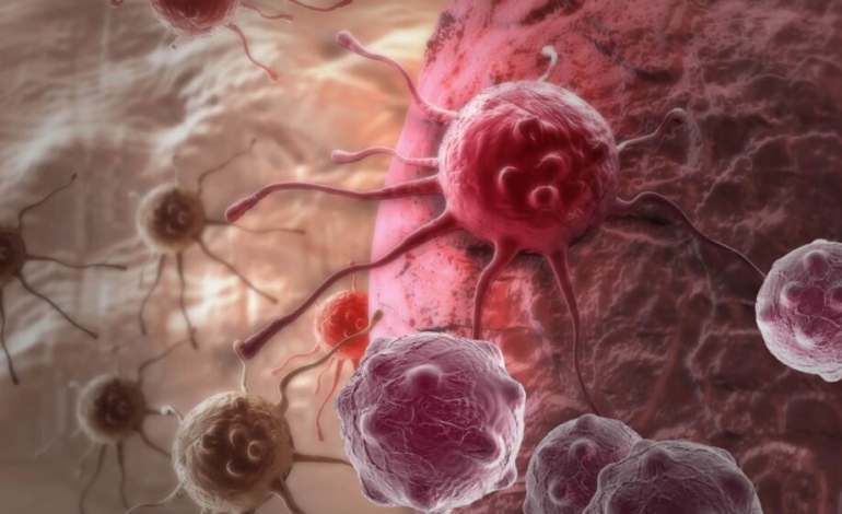 asi-es-la-lucha-entre-celulas-cancerigenas-para-contener-o-desarrollar-el-tumor