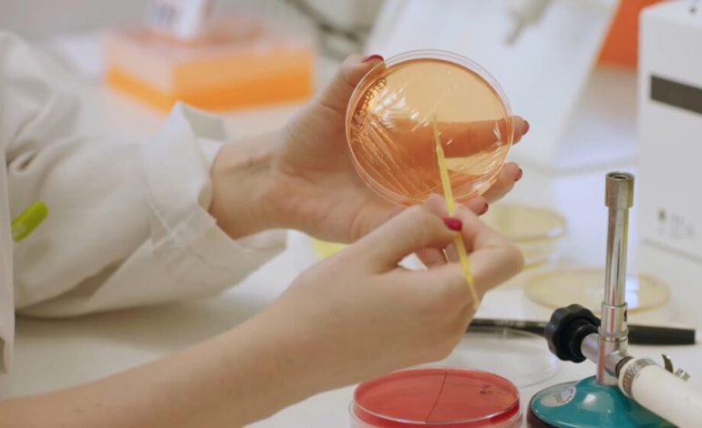 descubierta-la-bacteria-intestinal-que-puede-prevenir-y-tratar-la-obesidad