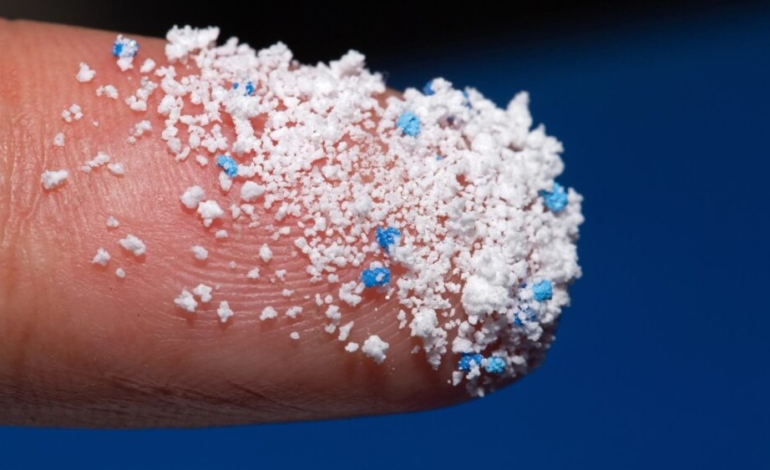 la-contaminacion-por-microplasticos-amenaza-las-poblaciones-de-coral