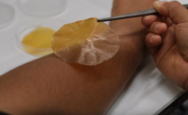 apositos-que-se-activan-con-luz-solar-y-frenan-las-infecciones-bacterianas
