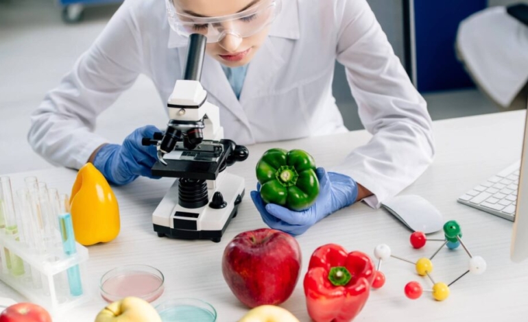 silenciar-genes-en-plantas-para-aumentar-el-rendimiento-de-los-cultivos