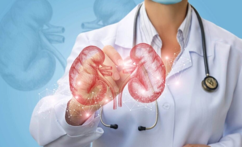 ¿que-es-la-litiasis-renal-o-piedras-en-el-rinon?