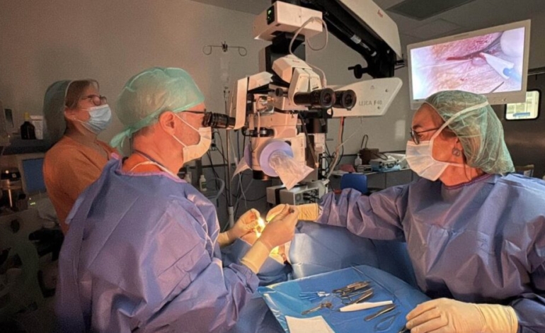 ¿sabes-que-es-la-oculoplastica-y-su-importancia-para-la-salud-visual?