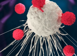 Una microbiota rica y diversa mejora la terapia CAR-T frente al linfoma de Hodgkin