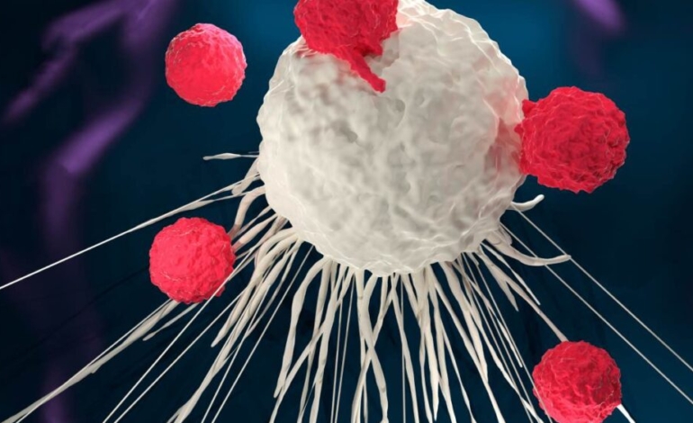 una-microbiota-rica-y-diversa-mejora-la-terapia-car-t-frente-al-linfoma-de-hodgkin