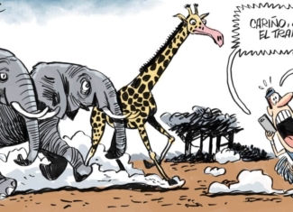 ¡Deporte intenso y naturaleza salvaje si practicas Trail Running!