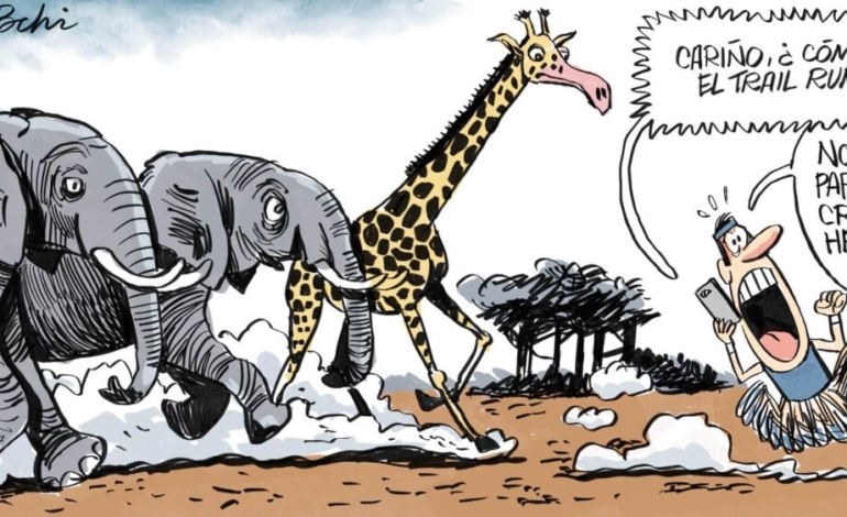 ¡deporte-intenso-y-naturaleza-salvaje-si-practicas-trail-running!