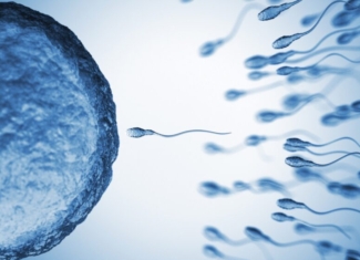 Compuestos químicos en el semen humano pueden afectar a la salud reproductiva