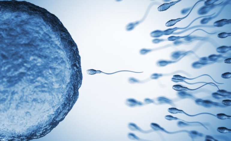 compuestos-quimicos-en-el-semen-humano-pueden-afectar-a-la-salud-reproductiva