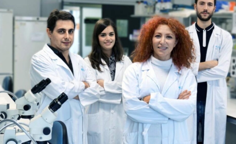 implante-de-cornea-impreso-en-3d-para-el-tratamiento-del-melting-corneal