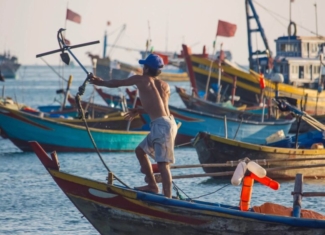 Un tercio de la pesca marina está mal etiquetado en los restaurantes