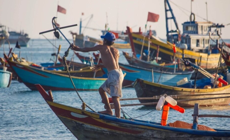 un-tercio-de-la-pesca-marina-esta-mal-etiquetado-en-los-restaurantes