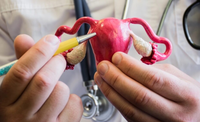 la-testosterona-no-mejora-la-reproduccion-en-mujeres-infertiles