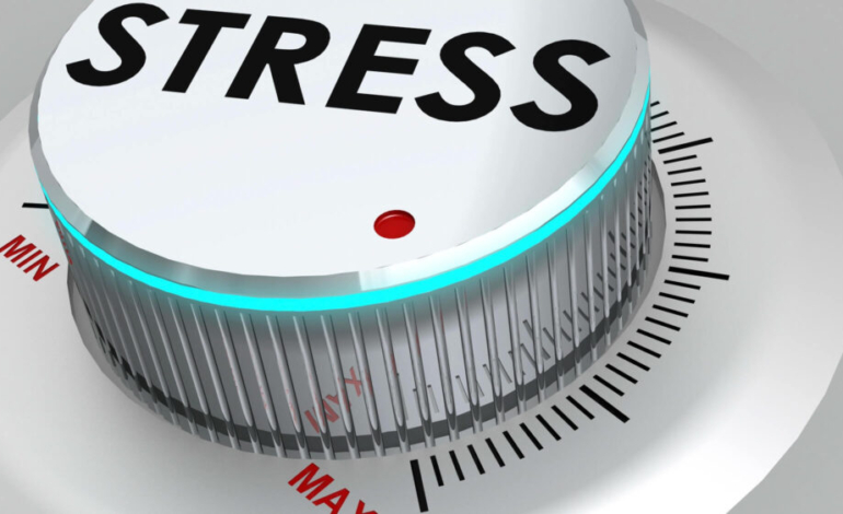 estres-como-factor-determinante-en-cada-ciclo-vital