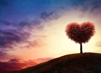 ¡Así ataca el estrés ambiental al corazón humano!