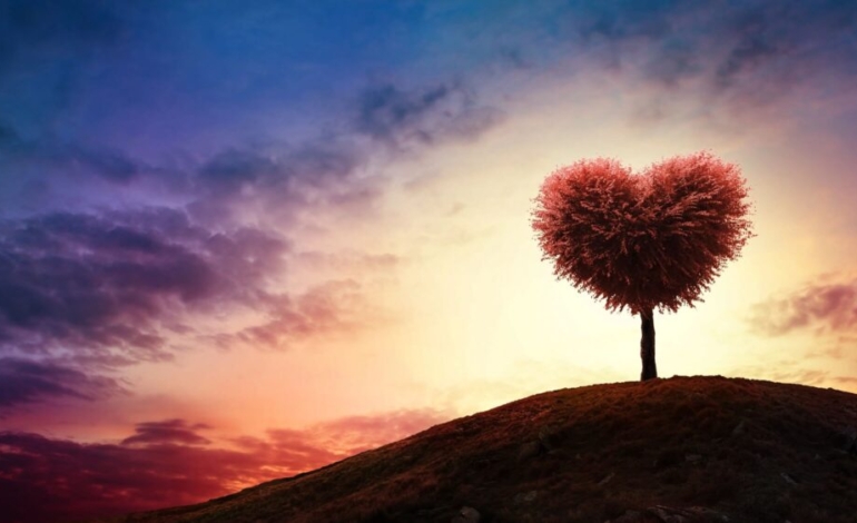 ¡asi-ataca-el-estres-ambiental-al-corazon-humano!