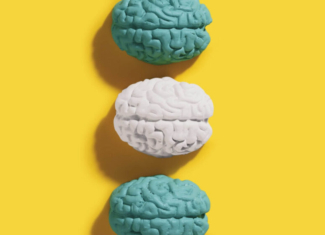 ¿Por qué estamos programados anatómica y mentalmente para conectar?