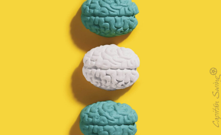 ¿por-que-estamos-programados-anatomica-y-mentalmente-para-conectar?