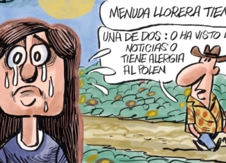 ¿Por qué sabes que llegó la alergia primaveral?