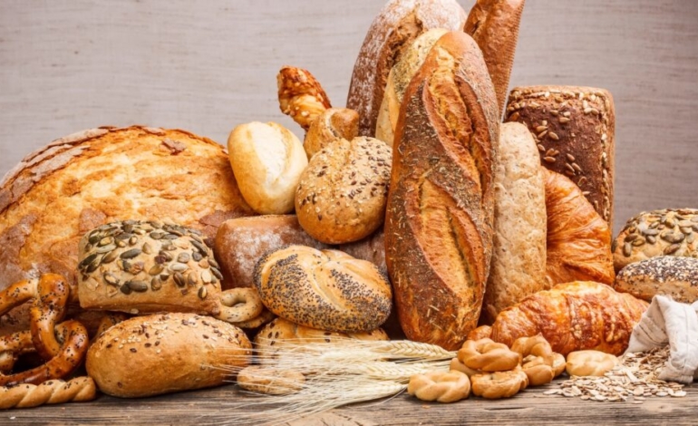 como-nuestro-cuerpo-decide-que-alimentos-son-seguros