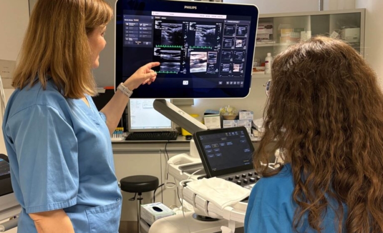 a-la-busqueda-de-nuevas-estrategias-para-prevenir-y-tratar-la-aterosclerosis