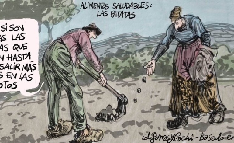 alimentos-saludables-(4):-patatas