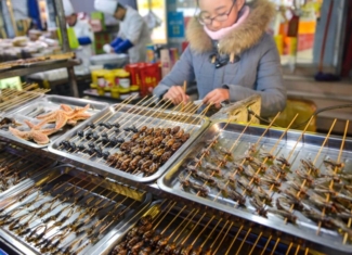 ¿Por qué en Europa casi no comemos insectos?